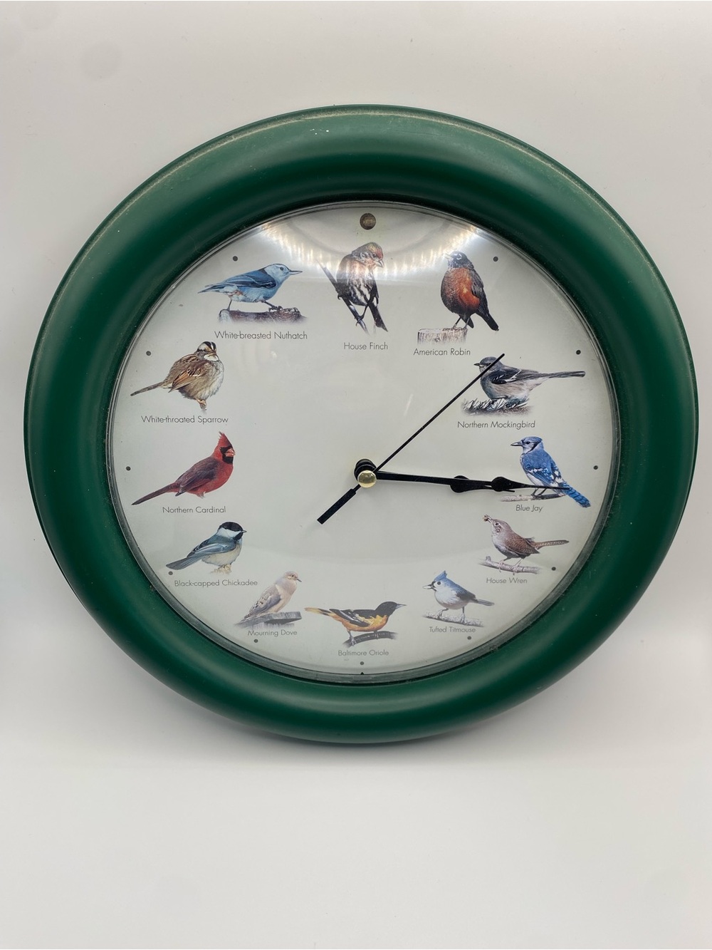 Bird Illustration Wall Clock in Forest Green